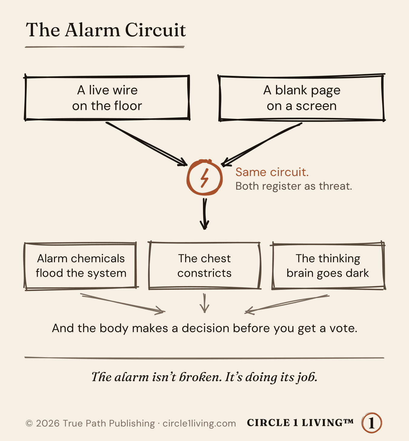 The Alarm Circuit: a live wire on the floor and a blank page on a screen trip the same circuit. Alarm chemicals flood the system, the chest constricts, the thinking brain goes dark, and the body decides before you get a vote.